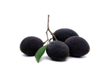 Beyaz arkaplanda Siyah Kadife Tamarind (Dialium Cochinchinense) izole.