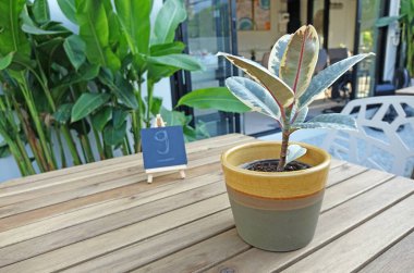 Açık hava bahçe restoranı dekorasyonu için açık hava yemek masasındaki minyatür tahtanın üzerine saksı ve masa numarası. Kopyalama alanı ile seçmeli odak.