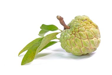 Beyaz arka planda muhallebi elması izole edilmiş. Kremalı elma (Annona squamosa), elma şekeri, veya anon, Tayland 'dan ünlü egzotik meyveler.