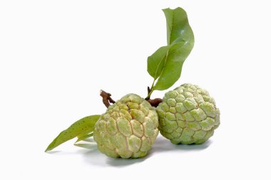 Beyaz arka planda muhallebi elması izole edilmiş. Kremalı elma (Annona squamosa), elma şekeri, veya anon, Tayland 'dan ünlü egzotik meyveler.