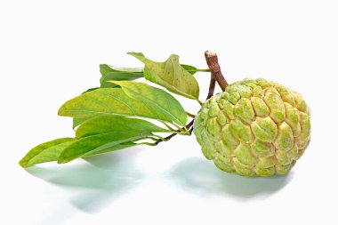 Beyaz arka planda muhallebi elması izole edilmiş. Kremalı elma (Annona squamosa), elma şekeri, veya anon, Tayland 'dan ünlü egzotik meyveler.