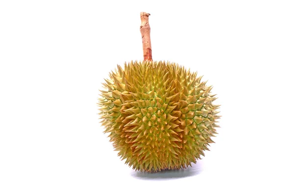 Durian Izolátum Fehér Háttérrel King Fruits Thaiföldről Legfinomabb Egzotikus Gyümölcsök — Stock Fotó