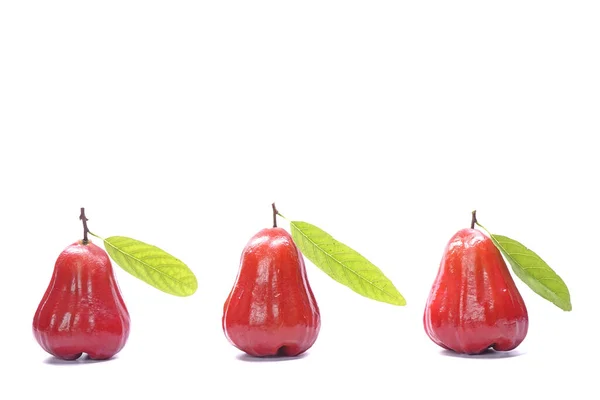 Rose Äpple Med Gröna Blad Isolat Vit Bakgrund Vackra Röda — Stockfoto