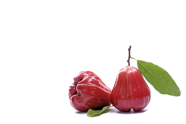 Jabłko Różane Zielonym Liściem Izolatu Białym Tle Piękna Czerwona Róża — Zdjęcie stockowe