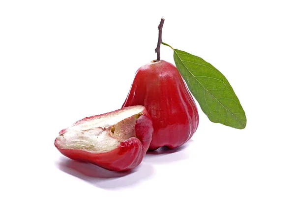 Jabłko Różane Zielonym Liściem Izolatu Białym Tle Piękna Czerwona Róża — Zdjęcie stockowe