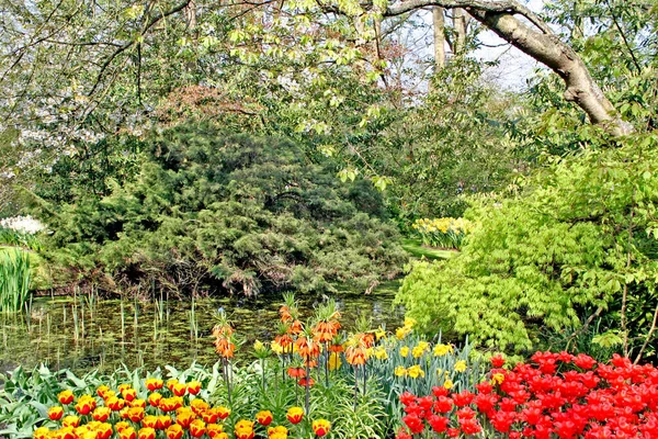 Hermoso Jardín Flores Temporada Primavera — Foto de Stock