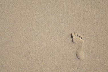 Kumda ayak izleri, seçici odak