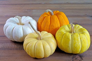 Balkabağı: Cadılar bayramı ve Şükran Günü için ahşap arka planda küçük renkli balkabağı, sonbahar hasadı, mesajlaşma alanı