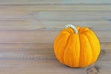 Cadılar Bayramı ve Şükran Günü için tahta masadaki balkabağı, kopyalama alanı