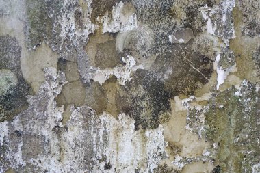 Yıpranmış beyaz beton duvar arkaplanı ve dokusu.