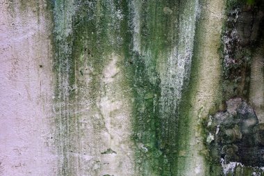 Yosun, küf ve liken arkaplan ve desenli eskimiş beton duvar..