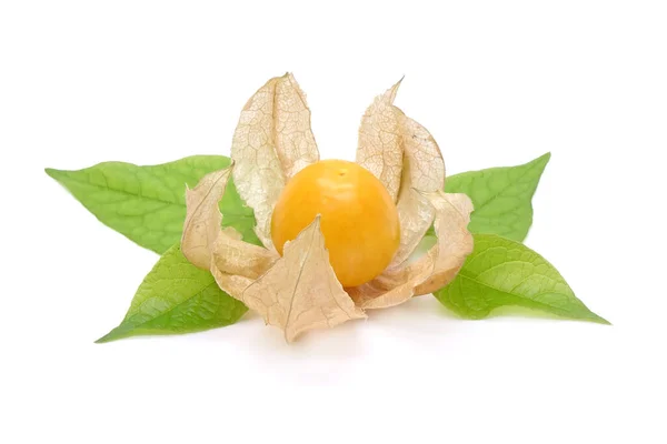 Verse Kruisbes Physalis Peruviana Met Groene Bladeren Geïsoleerd Witte Achtergrond — Stockfoto