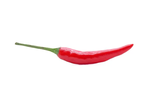 Red Hot Chili Pepper Isolated White Background — Stock Photo, Image