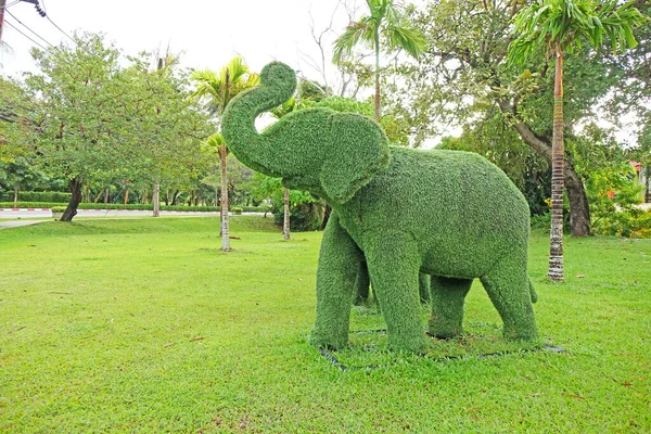 Belo Jardim Tropical Com Corte Elefante Forma — Fotografia de Stock
