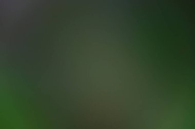 Bulanık doğal koyu yeşil arkaplan ve doku