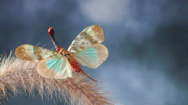 青いランタン虫 Pyrops Clavata Mizunumai ランタンフライまたはフルゴイド虫 プランツパー 背景のぼやけた選択的フォーカスとコピースペース — ストック写真