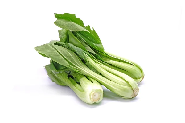 Bok Choy Isolated White Background Chinese Cabbage Bok Choy Pak — Stock Photo, Image