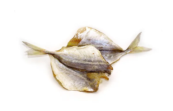 Sun Dried Marine Fish Isolated White Background — Stock Photo, Image