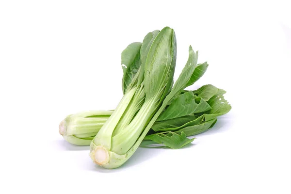 Bok Choy Aislado Sobre Fondo Blanco Repollo Chino Bok Choy — Foto de Stock