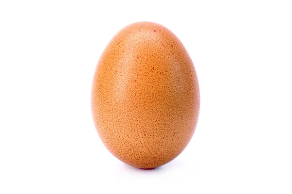 Uovo Guscio Marrone Isolato Sfondo Bianco — Foto Stock