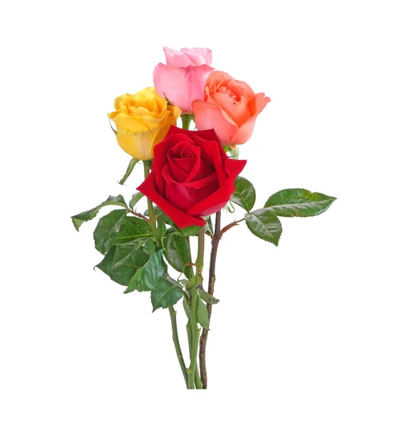 Bukiet Kolorowych Róż Izolowanych Białym Tle — Zdjęcie stockowe
