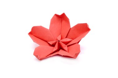 Çin Yeni Yılı için kırmızı erik çiçeği (Origami kırmızı erik çiçeği) beyaz zemin üzerinde izole.