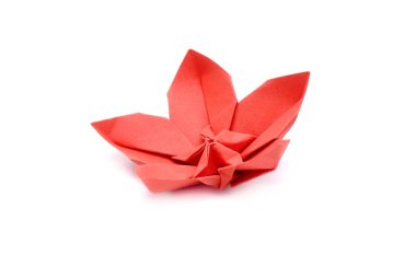Çin Yeni Yılı için kırmızı erik çiçeği (Origami kırmızı erik çiçeği) beyaz zemin üzerinde izole.