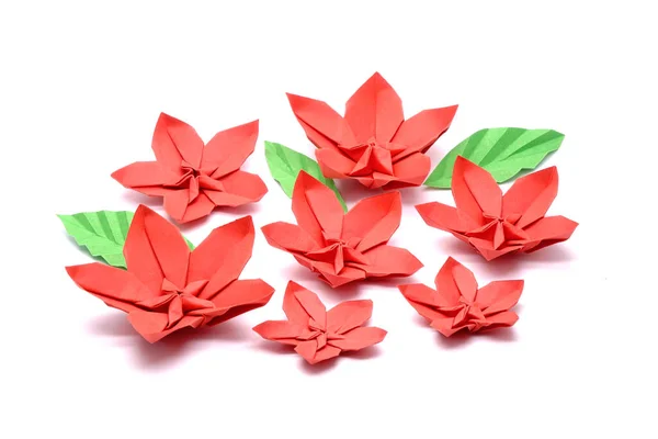 Flor Ciruela Roja Para Año Nuevo Chino Origami Flor Ciruela — Foto de Stock