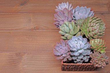 Tahta arka planda sepetin içinde nefis sulu.