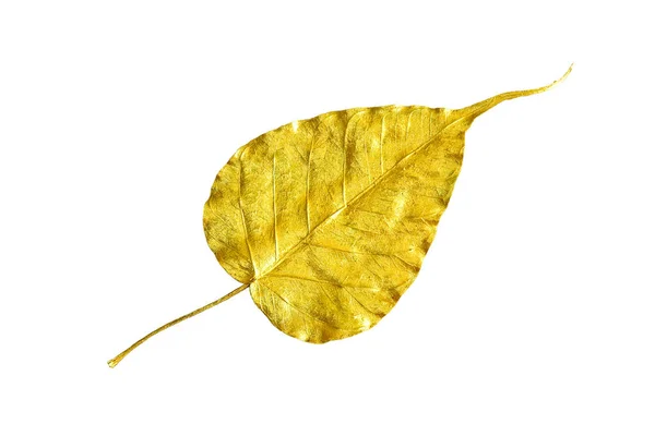 Ouro Folha Figo Sagrado Isolado Fundo Branco Folha Dourada — Fotografia de Stock