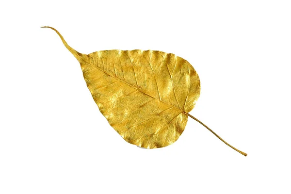 Beyaz Arka Planda Izole Edilmiş Altın Kutsal Incir Yaprağı Altın — Stok fotoğraf