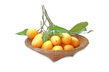 Beyaz arka planda yeşil yapraklı Marian eriği