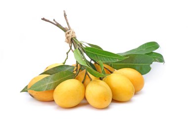 Beyaz arka planda yeşil yapraklı Marian eriği