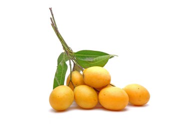 Beyaz arka planda yeşil yapraklı Marian eriği