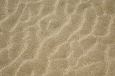 Deniz kumu arkaplanı ve dokusu