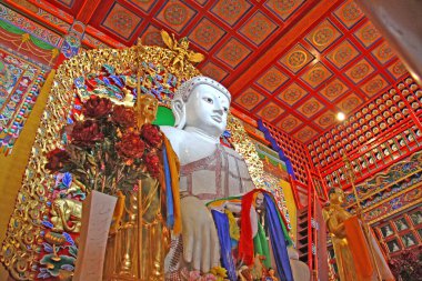 Moğolistan Tapınağı 'ndaki Beyaz Buda heykeli. Seçici odak.