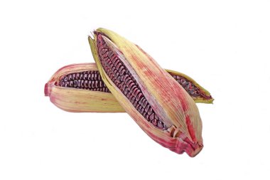 Beyaz arka planda izole edilmiş taze mor mısır. Mor mısır veya Mavi mısır, yüksek antioksidan ve besin