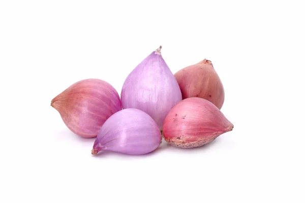 Shallots Isolated White Background — Stock Photo, Image