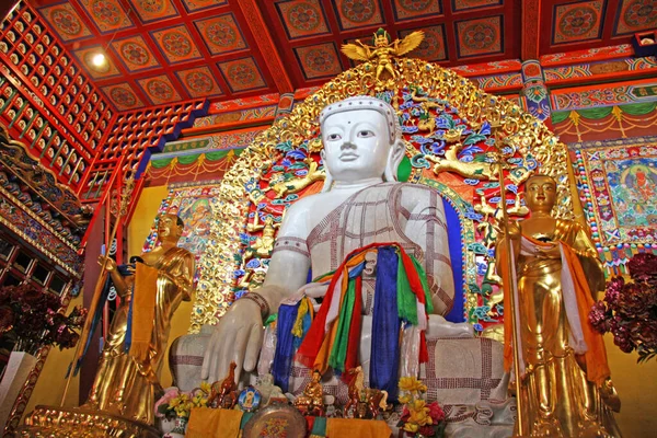 Estatua Buda Blanco Templo Interior Mongolia Enfoque Selectivo — Foto de Stock