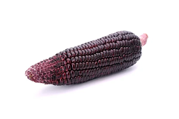 Свежая Фиолетовая Кукуруза Белом Фоне Пурпурный Кукуруза Голубой Кукурузы Высокие — стоковое фото