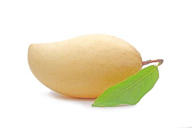 Beyaz arka planda yeşil yapraklı mango. Tayland 'dan kaliteli Mango (Nam Dok Mai)