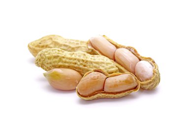 Fıstık beyaz arkaplanda izole edildi