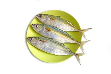 Beyaz zemin üzerinde izole edilmiş Hint uskumru balığı