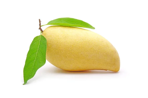 Mango Con Foglie Verdi Isolate Fondo Bianco Qualità Premium Mango — Foto Stock