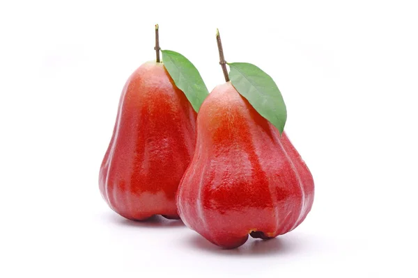 Rose Äpple Eller Bell Frukt Med Gröna Blad Isolerad Vit — Stockfoto