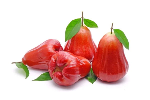 Rose Äpple Eller Bell Frukt Med Gröna Blad Isolerad Vit — Stockfoto
