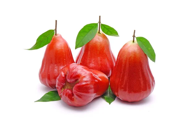 Rose Äpple Eller Bell Frukt Med Gröna Blad Isolerad Vit — Stockfoto