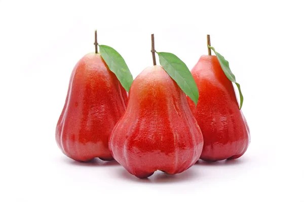 Rose Äpple Eller Bell Frukt Med Gröna Blad Isolerad Vit — Stockfoto