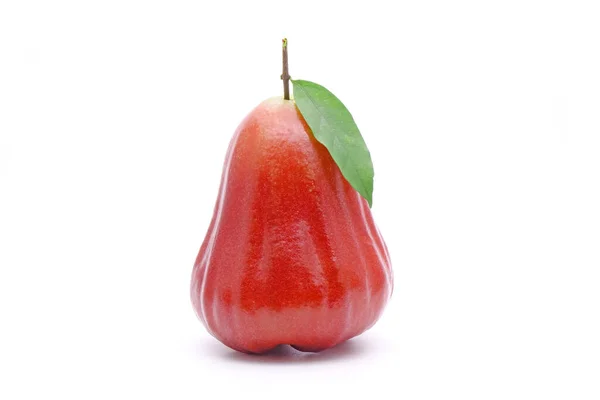 Rozenappel Bell Fruit Met Groene Bladeren Geïsoleerd Witte Achtergrond — Stockfoto