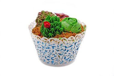 Güzel Succulents Kupası pastası beyaz arkaplanda izole
